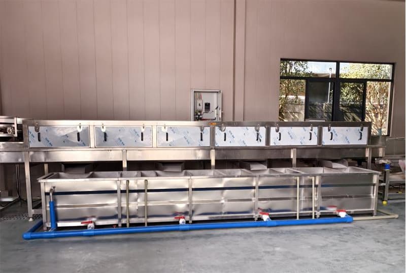 images/1752741339756ginger washer.jpg